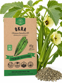 Clemson Spineless Okra Seeds – Non-GMO Heirloom