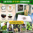 Onion Leek Seeds Pack 1G
