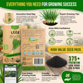 Onion Leek Seeds Pack 1G