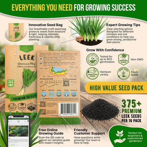 Onion Leek Seeds Pack 1G