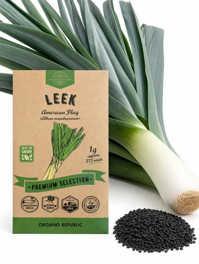 Leek Seeds – Non-GMO Heirloom