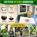 Onion Walla Walla Seeds Pack 1G