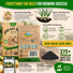 Onion Walla Walla Seeds Pack 1G