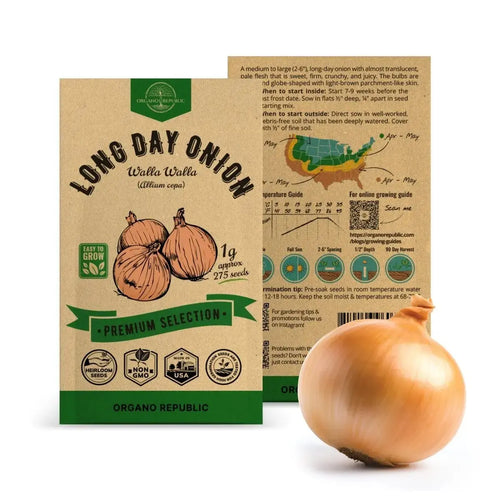 plant onion seeds indoors Walla Walla Onion Seeds