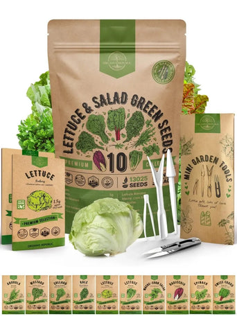 10 Lettuce & Salad Greens Seeds Variety Pack