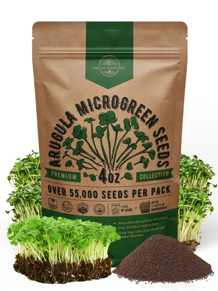 arugula plant seeds Organo Republic Arugula Sprouting & Microgreens Seeds