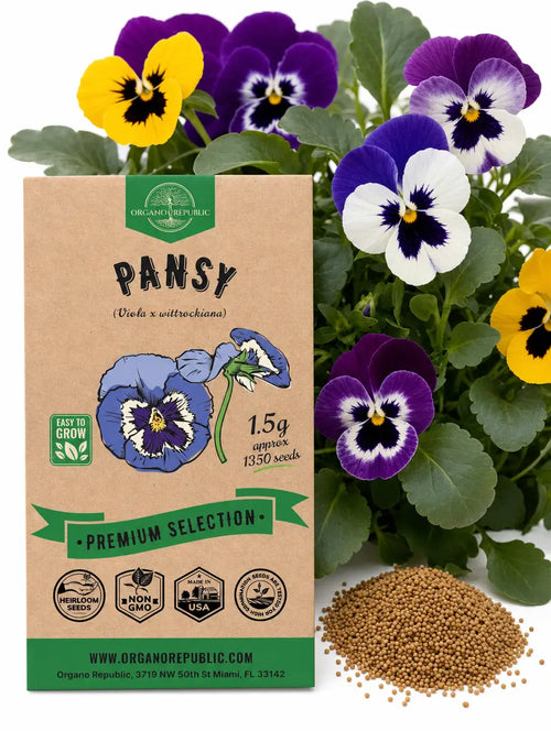 Pansy Seeds for Sale – Non-GMO Heirloom