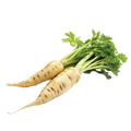 Parsnips - 2G