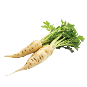 Parsnips - 2G