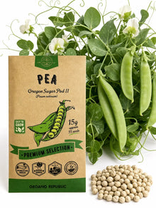 Pea Oregon Sugar Pod II Seeds