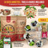 Pepper Seeds Variety Pack Organo Republic