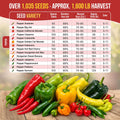 Pepper Seeds Variety Pack Organo Republic