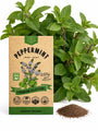 Peppermint Seeds