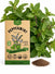 Peppermint Seeds