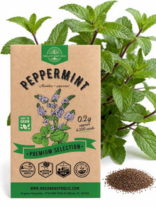 Peppermint Seeds