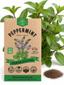 Peppermint Seeds - Organo Republic