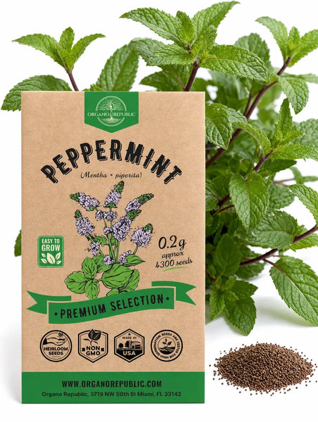 Peppermint Seeds - Organo Republic