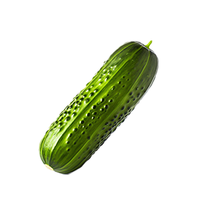 Boston Pickling Cucumber - 3G