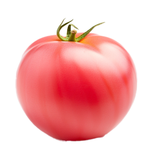 Tomato Pink Thai Egg - 0.15G