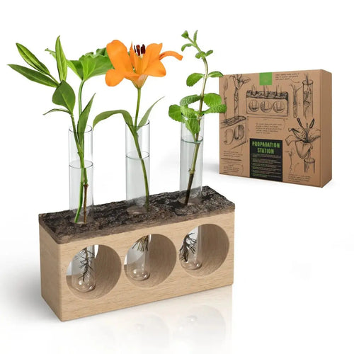 hydroponic plant holder Plant Propagation Station 3 Glass Tube Wooden Stand Plant Terrarium fo – Organo Republic