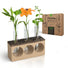 Plant Propagation Station 3 Glass Tube Wooden Stand Plant Terrarium for Hydroponic Plants Home Decor, Root Propagator for Office Home and Decor, Unique Gifts for Women, Men and Plant Lovers - Organo Republic