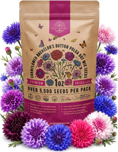 Polka Dot Mix Cornflower Seeds (Bachelor's Button) – Non-GMO Heirloom