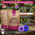 Polka Dot Mix Cornflower Seeds Organo Republic
