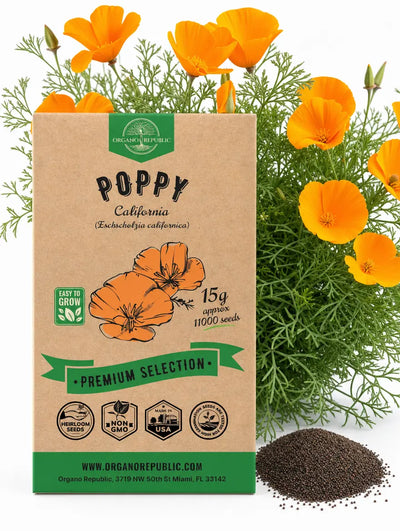 California Poppy Seeds – Non-GMO Heirloom
