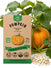 Pumpkin Connecticut Field Seeds - Organo Republic