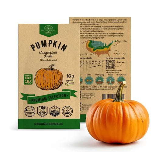 Pumpkin Connecticut Field Seeds Pack 10G - Over 60 Non-GMO Heirloom Pumpkin Seeds for Planting Vegetables in Individual Seed Packet, Vegetable Seeds for Planting Home Garden Indoor & Outdoor Gardening - Organo Republic