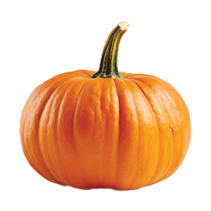 Pumpkin connecticut field - 5.5G