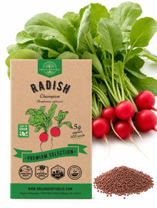 Champion Radish Seeds – Non-GMO Heirloom