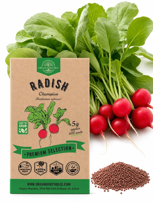 Champion Radish Seeds – Non-GMO Heirloom