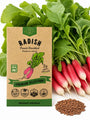 Radish French Breakfast Seeds