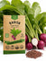Radish Purple Beauty Seeds