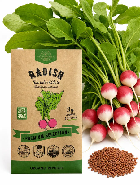 Radish Sparkler White Seeds
