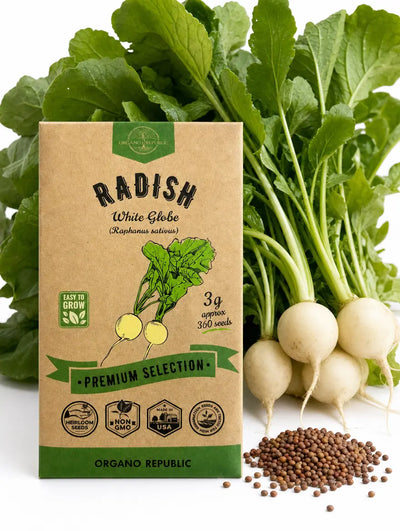 White Globe Radish Seeds – Non-GMO Heirloom