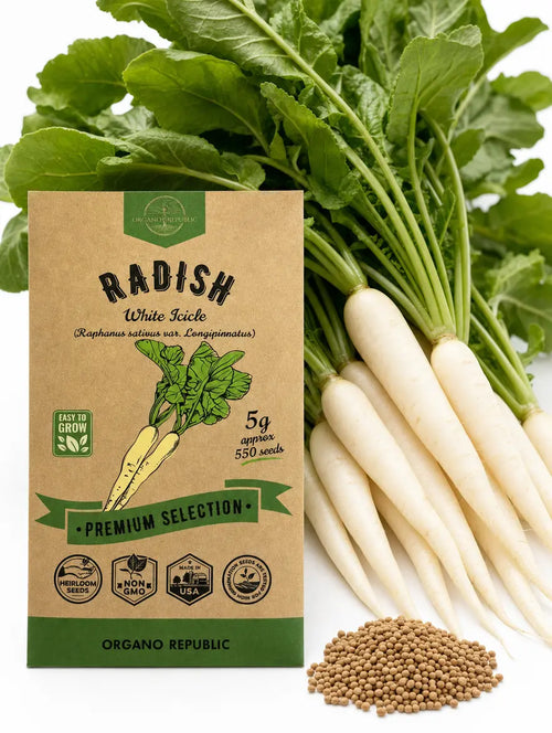 White Icicle Radish Seeds – Non-GMO Heirloom