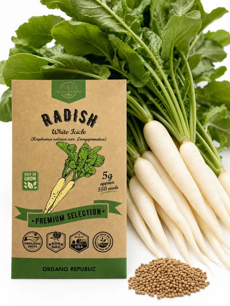 Radish White Icicle Seeds