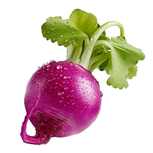Radish Purple Beauty - 2G