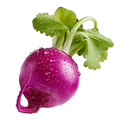 Radish Purple Beauty - 2G