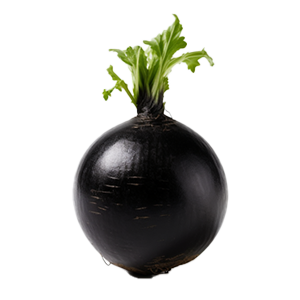Radish Round Black Spanish - 5G