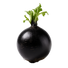 Radish Round Black Spanish - 5G