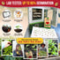 Red Beefsteak Tomato Seeds Pack 0.5G