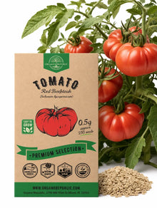 Red Beefsteak Tomato Seeds