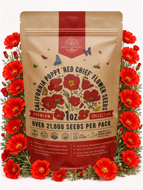 Red Chief California Poppy Seeds – Non-GMO Heirloom