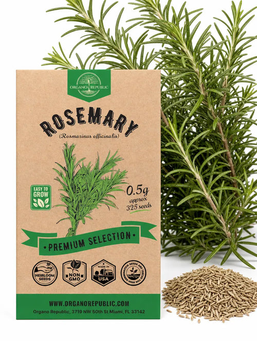 Rosemary Seeds