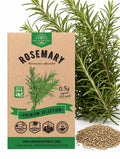 Rosemary Seeds