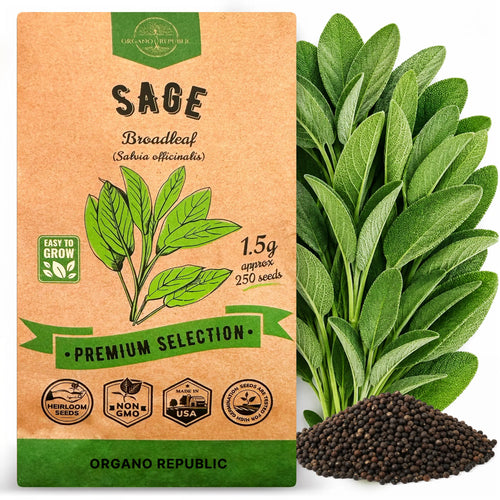 Sage Seeds Pack 1.5 G