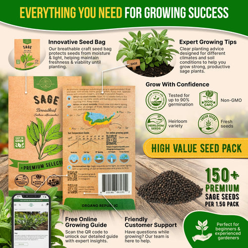Sage Seeds Pack 1.5 G
